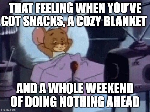 That feeling! | THAT FEELING WHEN YOU’VE GOT SNACKS, A COZY BLANKET; AND A WHOLE WEEKEND OF DOING NOTHING AHEAD | image tagged in memes | made w/ Imgflip meme maker
