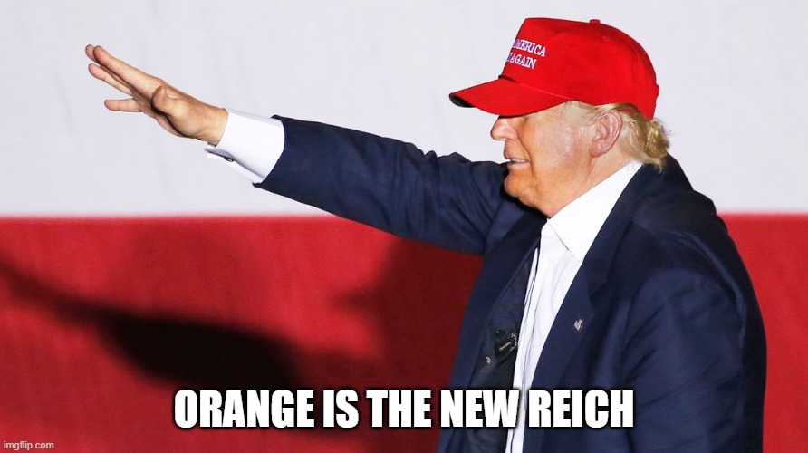 Trump Nazi Salute | ORANGE IS THE NEW REICH | image tagged in trump nazi salute,memes,donald trump,orange is the new black,nazi,hitler | made w/ Imgflip meme maker