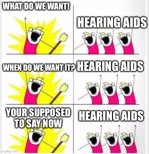 HEARING AIDS | WHAT DO WE WANT! HEARING AIDS; HEARING AIDS; WHEN DO WE WANT IT? HEARING AIDS; YOUR SUPPOSED TO SAY NOW | image tagged in who are we better textboxes | made w/ Imgflip meme maker