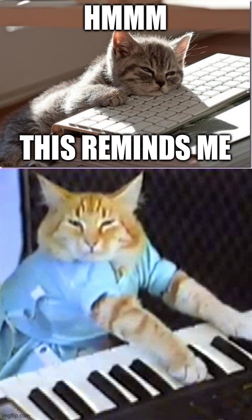 Keyboard cat | HMMM; THIS REMINDS ME | image tagged in bored keyboard cat,keyboard cat | made w/ Imgflip meme maker