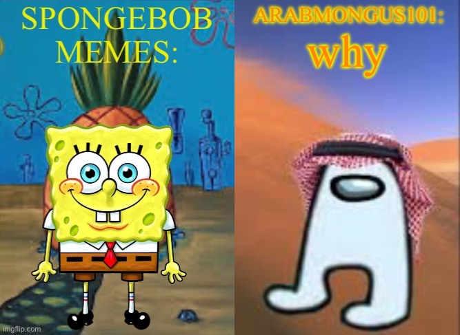 ArabMungus101 and SpogeBob memes | why | image tagged in arabmungus101 and spogebob memes | made w/ Imgflip meme maker