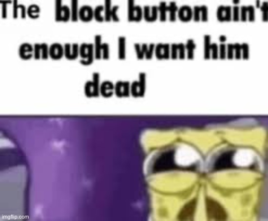 The block button ain’t enough I want him dead | image tagged in the block button ain t enough i want him dead | made w/ Imgflip meme maker