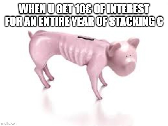 piggy piggy | WHEN U GET 10€ OF INTEREST FOR AN ENTIRE YEAR OF STACKING € | image tagged in piggy bank | made w/ Imgflip meme maker