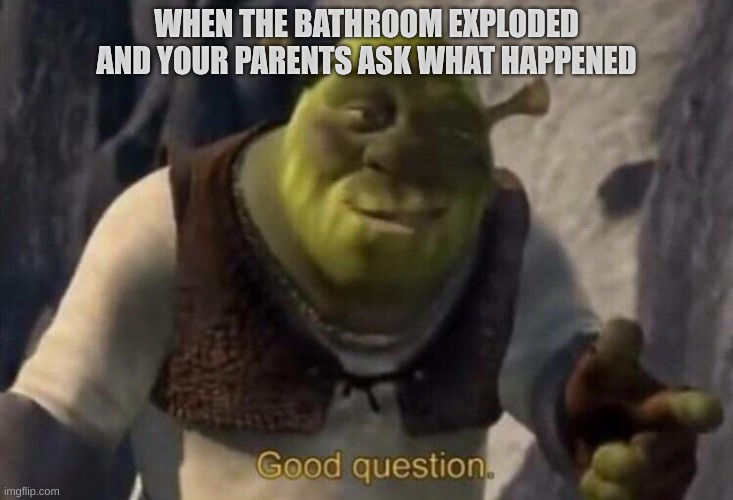 bathroom | WHEN THE BATHROOM EXPLODED AND YOUR PARENTS ASK WHAT HAPPENED | image tagged in shrek good question | made w/ Imgflip meme maker