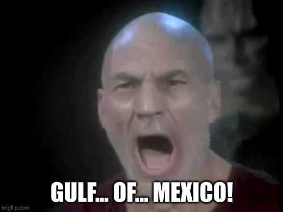 gulf of mexico | GULF... OF... MEXICO! | image tagged in picard four lights | made w/ Imgflip meme maker