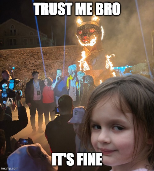 burning cat | TRUST ME BRO; IT'S FINE | image tagged in burning cat | made w/ Imgflip meme maker