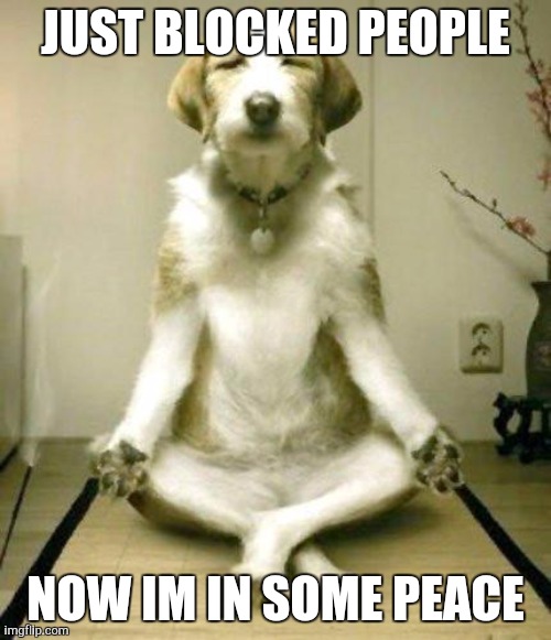 Yoga Dog | JUST BLOCKED PEOPLE; NOW IM IN SOME PEACE | image tagged in yoga dog | made w/ Imgflip meme maker