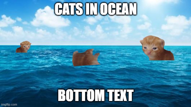 Cats are in oceans | CATS IN OCEAN; BOTTOM TEXT | image tagged in ocean,cat,water | made w/ Imgflip meme maker