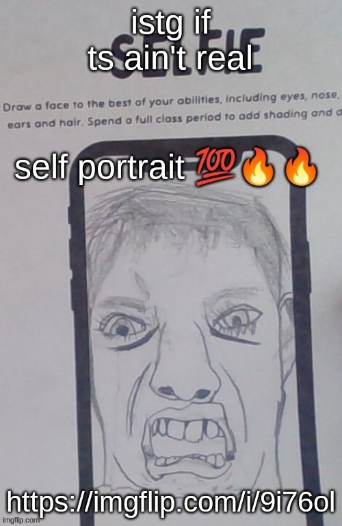 Self Portrait | istg if ts ain't real; https://imgflip.com/i/9i76ol | image tagged in self portrait | made w/ Imgflip meme maker