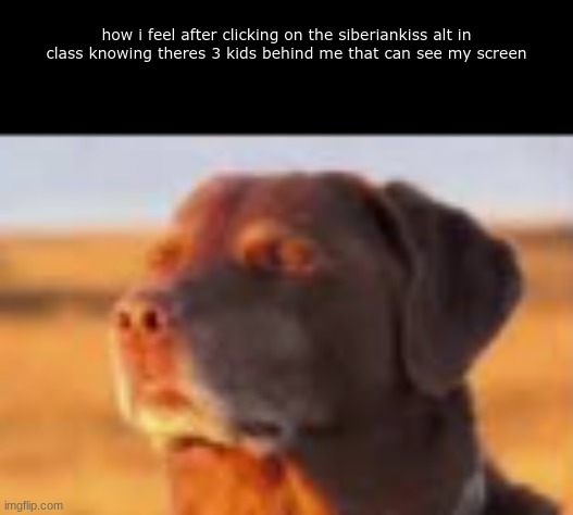 how i feel after clicking on the siberiankiss alt in class knowing theres 3 kids behind me that can see my screen | made w/ Imgflip meme maker