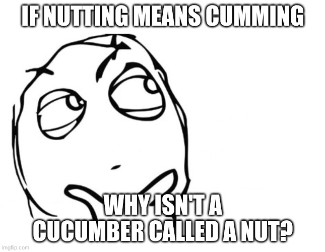 hmmm | IF NUTTING MEANS CUMMING; WHY ISN'T A CUCUMBER CALLED A NUT? | image tagged in hmmm | made w/ Imgflip meme maker