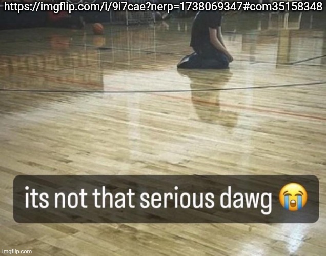 it's not that serious dawg | https://imgflip.com/i/9i7cae?nerp=1738069347#com35158348 | image tagged in it's not that serious dawg,msmg,memes | made w/ Imgflip meme maker