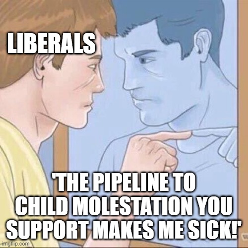 Pointing mirror guy | LIBERALS 'THE PIPELINE TO CHILD MOLESTATION YOU SUPPORT MAKES ME SICK!' | image tagged in pointing mirror guy | made w/ Imgflip meme maker