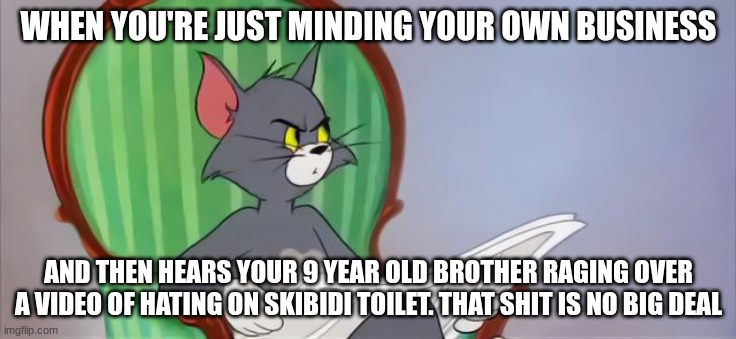 Tom Cat Reading a newspaper | WHEN YOU'RE JUST MINDING YOUR OWN BUSINESS; AND THEN HEARS YOUR 9 YEAR OLD BROTHER RAGING OVER A VIDEO OF HATING ON SKIBIDI TOILET. THAT SHIT IS NO BIG DEAL | image tagged in tom reading newspaper,meme,uhhh,random,gen alpha | made w/ Imgflip meme maker