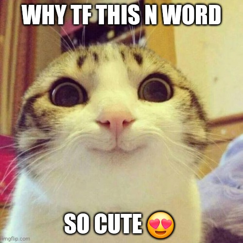 Smiling Cat | WHY TF THIS N WORD; SO CUTE 😍 | image tagged in memes,smiling cat | made w/ Imgflip meme maker