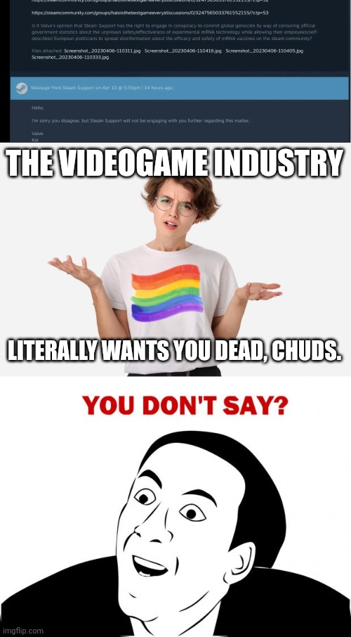 THE VIDEOGAME INDUSTRY; LITERALLY WANTS YOU DEAD, CHUDS. | image tagged in young lesbian professional,memes,you don't say | made w/ Imgflip meme maker