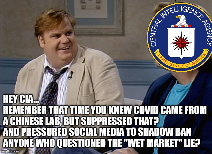 suppressed CIA report has been released | HEY CIA...
REMEMBER THAT TIME YOU KNEW COVID CAME FROM
A CHINESE LAB, BUT SUPPRESSED THAT?
AND PRESSURED SOCIAL MEDIA TO SHADOW BAN 
ANYONE WHO QUESTIONED THE "WET MARKET" LIE? | image tagged in remember that time | made w/ Imgflip meme maker