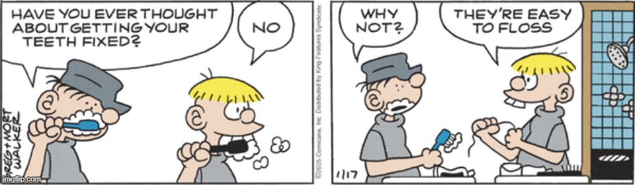 Beetle Bailey | image tagged in comics | made w/ Imgflip meme maker