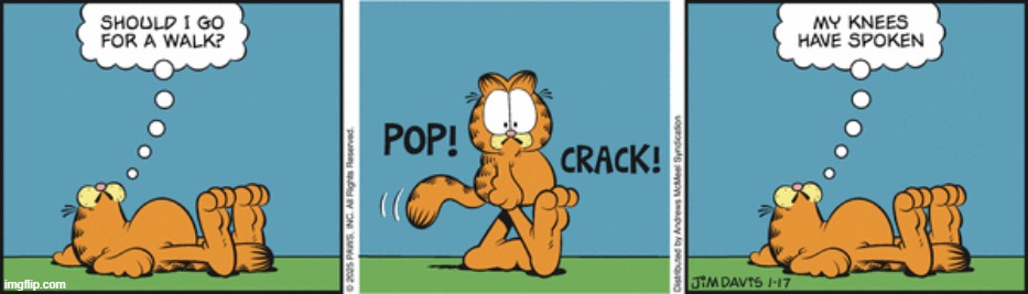 Garfield | image tagged in comics | made w/ Imgflip meme maker