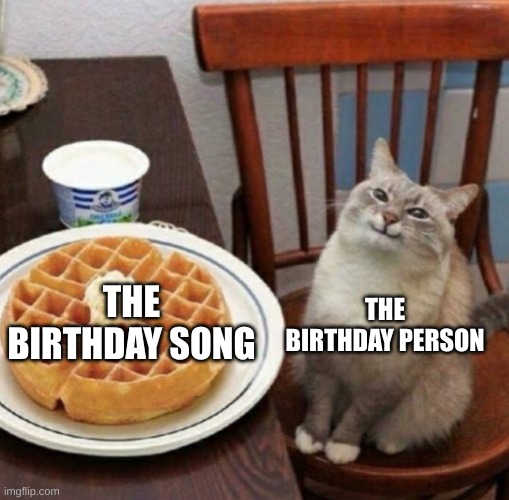 The Birthday Song | THE BIRTHDAY PERSON; THE BIRTHDAY SONG | image tagged in cat likes their waffle,happy birthday,birthday,birthdays | made w/ Imgflip meme maker