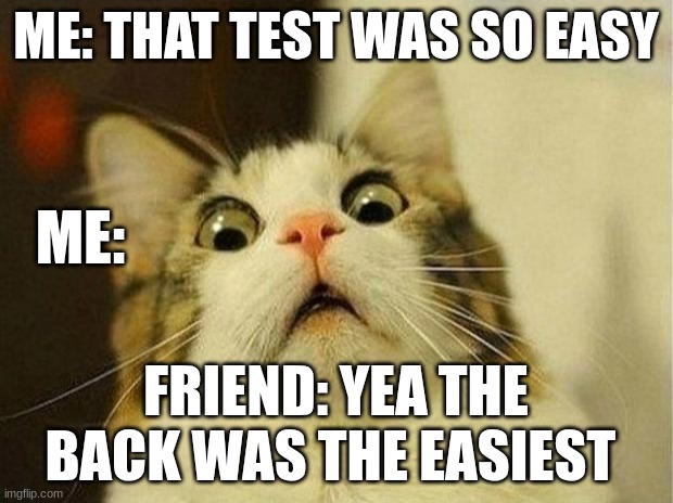 Ohh crap | ME: THAT TEST WAS SO EASY; ME:; FRIEND: YEA THE BACK WAS THE EASIEST | image tagged in memes,scared cat | made w/ Imgflip meme maker