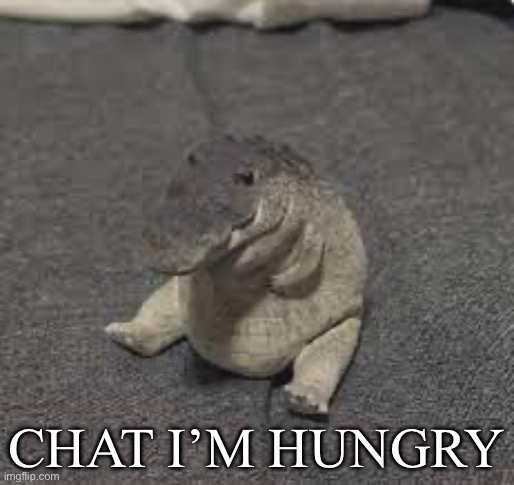 Greg is too | CHAT I’M HUNGRY | image tagged in greg | made w/ Imgflip meme maker