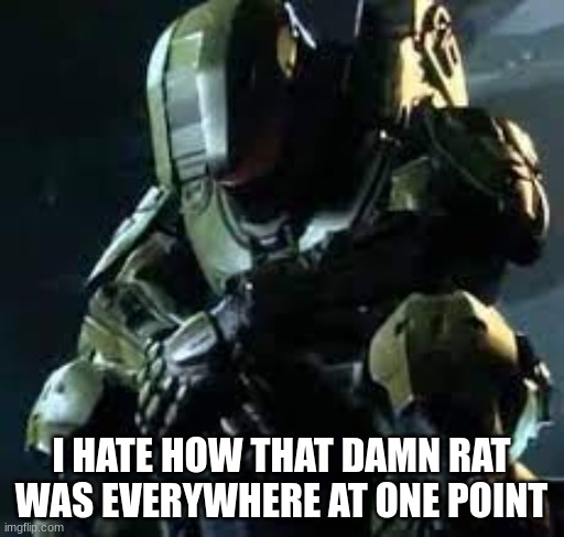 Master Chief sad | I HATE HOW THAT DAMN RAT WAS EVERYWHERE AT ONE POINT | image tagged in master chief sad | made w/ Imgflip meme maker