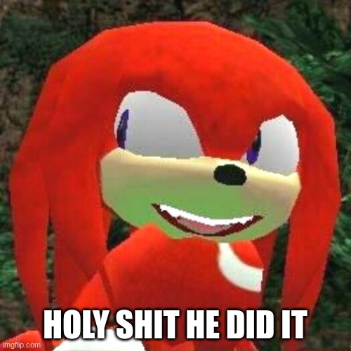 The face you make Knuckles | HOLY SHIT HE DID IT | image tagged in the face you make knuckles | made w/ Imgflip meme maker