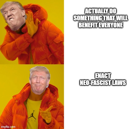 Dumbass Hotline Bling | ACTUALLY DO SOMETHING THAT WILL BENEFIT EVERYONE; ENACT NEO-FASCIST LAWS | image tagged in dumbass hotline bling | made w/ Imgflip meme maker