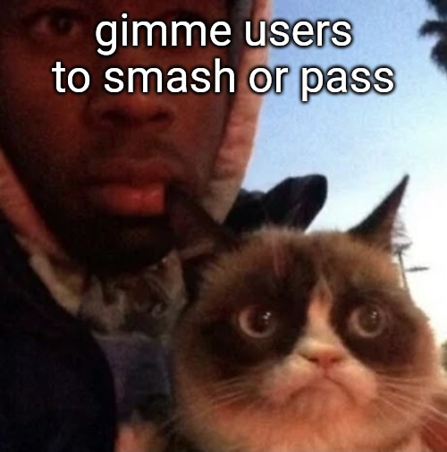 tyler the creator and grumpy cat | gimme users to smash or pass | image tagged in tyler the creator and grumpy cat | made w/ Imgflip meme maker