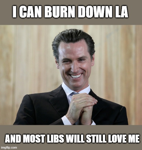 Scheming Gavin Newsom  | I CAN BURN DOWN LA AND MOST LIBS WILL STILL LOVE ME | image tagged in scheming gavin newsom | made w/ Imgflip meme maker