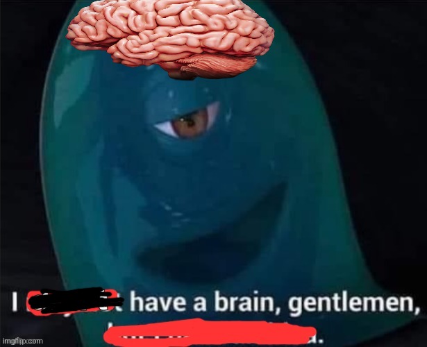 I don't have a brain, gentlemen | image tagged in i don't have a brain gentlemen | made w/ Imgflip meme maker