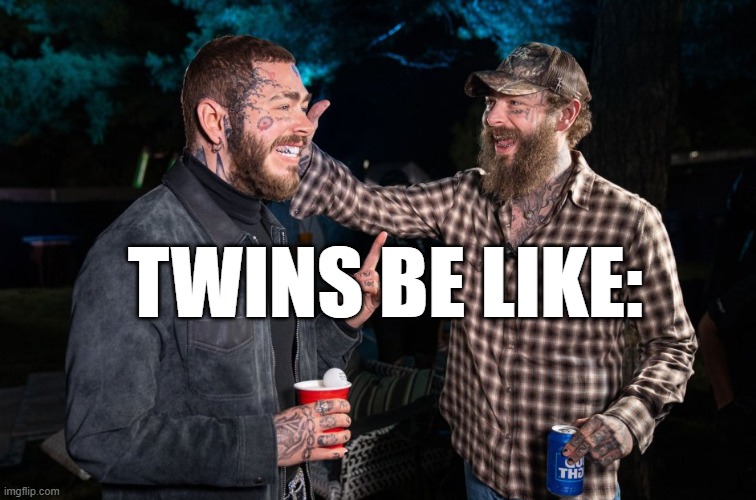 Post Malone Wax Figure | TWINS BE LIKE: | image tagged in post malone wax figure | made w/ Imgflip meme maker