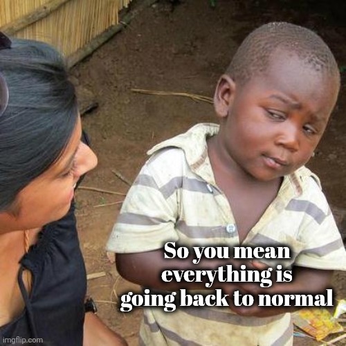 Third World Skeptical Kid Meme | So you mean everything is going back to normal | image tagged in memes,third world skeptical kid | made w/ Imgflip meme maker