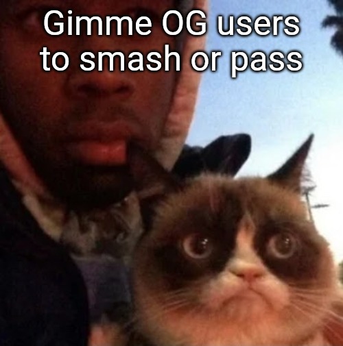 tyler the creator and grumpy cat | Gimme OG users to smash or pass | image tagged in tyler the creator and grumpy cat | made w/ Imgflip meme maker