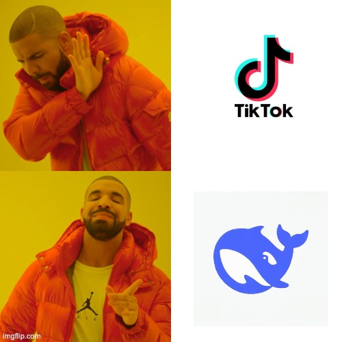 save the bytedance | image tagged in memes,drake hotline bling,tiktok,deepseek | made w/ Imgflip meme maker