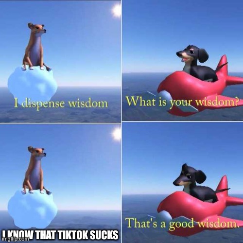 tiktok sucks | I KNOW THAT TIKTOK SUCKS | image tagged in wisdom dog | made w/ Imgflip meme maker