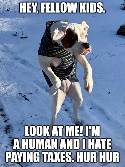 HEY, FELLOW KIDS. LOOK AT ME! I'M A HUMAN AND I HATE PAYING TAXES. HUR HUR | made w/ Imgflip meme maker