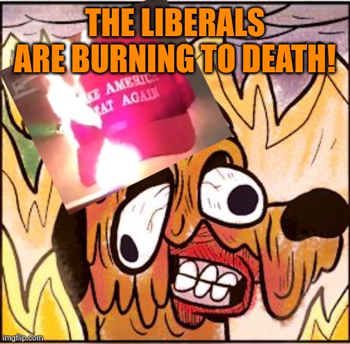 This is fine face melt | THE LIBERALS ARE BURNING TO DEATH! | image tagged in this is fine face melt | made w/ Imgflip meme maker