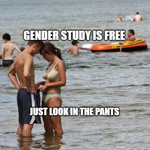 girl peeking in boy's shorts | GENDER STUDY IS FREE; JUST LOOK IN THE PANTS | image tagged in girl peeking in boy's shorts | made w/ Imgflip meme maker