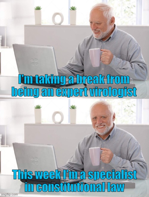 Expert this week | I'm taking a break from being an expert virologist; This week I'm a specialist in constitutional law | image tagged in the expert | made w/ Imgflip meme maker