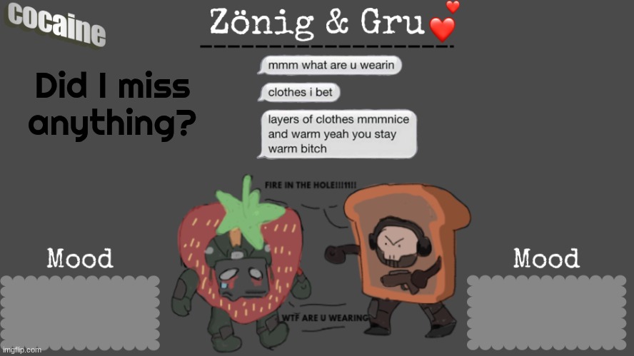 Did I miss anything? | image tagged in zoru temp ig idk | made w/ Imgflip meme maker