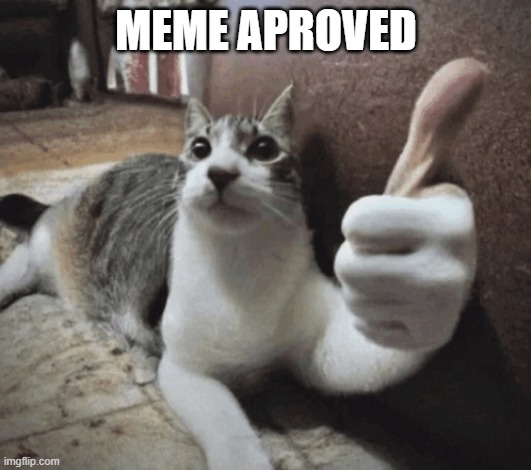 cat thumbs up | MEME APROVED | image tagged in cat thumbs up | made w/ Imgflip meme maker