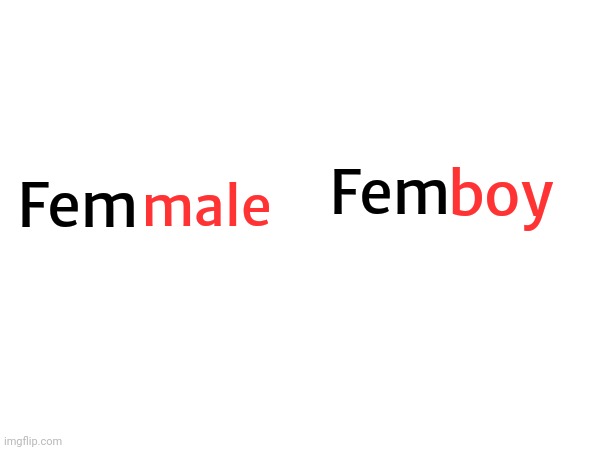 They are technically same | Fem; boy; male; Fem | made w/ Imgflip meme maker