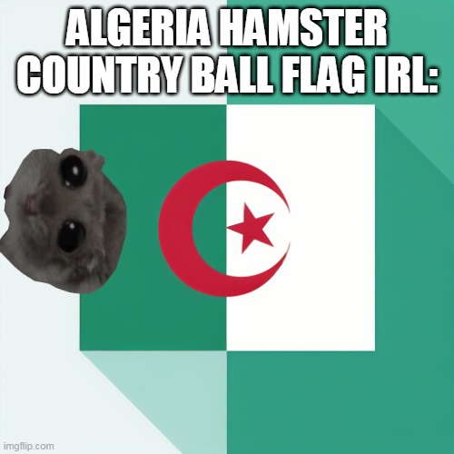 algeria hamster country ball flag irl in ia | ALGERIA HAMSTER COUNTRY BALL FLAG IRL: | made w/ Imgflip meme maker