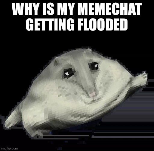 Florp | WHY IS MY MEMECHAT GETTING FLOODED | image tagged in florp | made w/ Imgflip meme maker