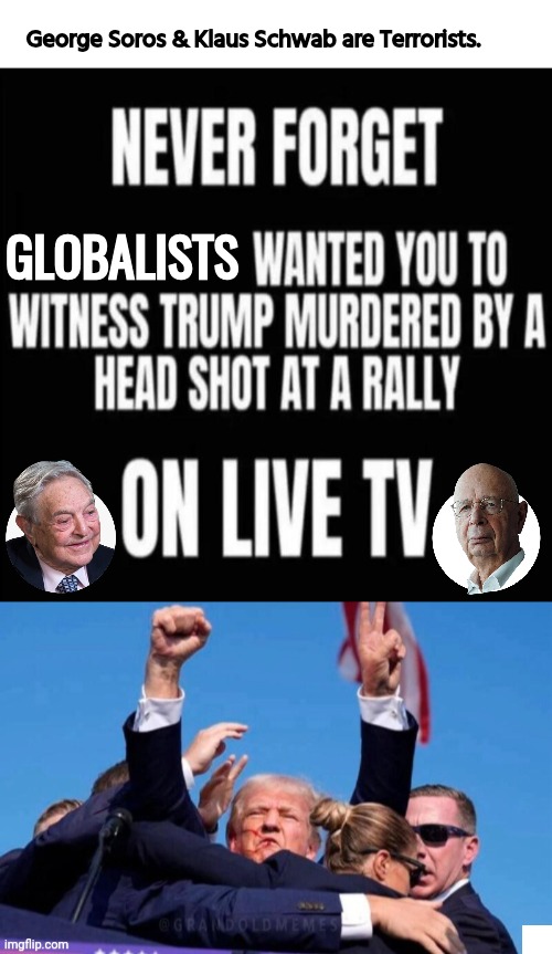 Klaus Schwab and Soros are terrorists | George Soros & Klaus Schwab are Terrorists. GLOBALISTS | image tagged in blank white template,trump shot at twice,terrorists,george soros | made w/ Imgflip meme maker