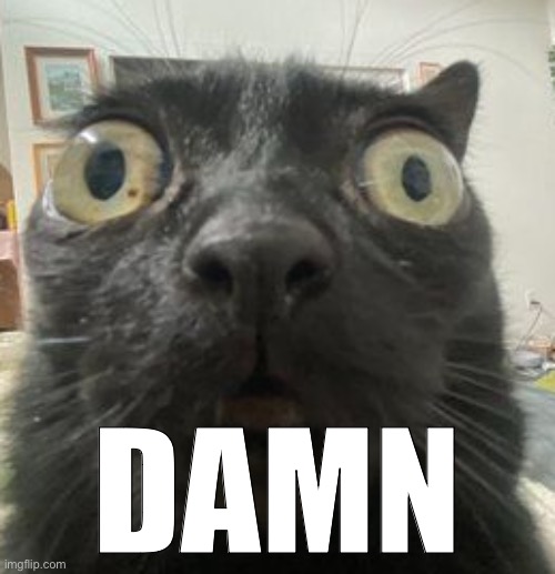 Jinx Staring | DAMN | image tagged in jinx staring | made w/ Imgflip meme maker