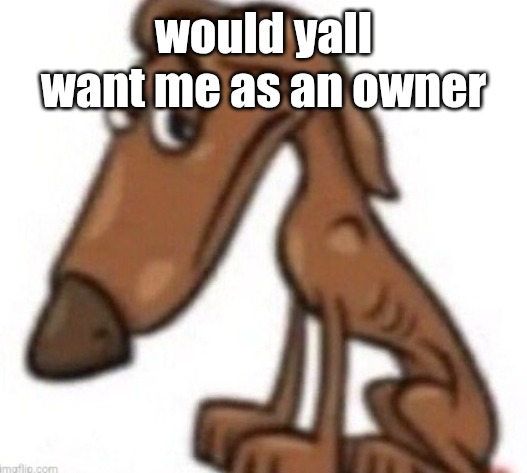 sad dog | would yall want me as an owner | image tagged in sad dog | made w/ Imgflip meme maker