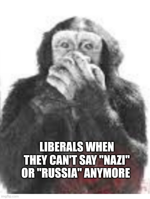 speak no evil | LIBERALS WHEN THEY CAN'T SAY "NAZI" OR "RUSSIA" ANYMORE | image tagged in speak no evil | made w/ Imgflip meme maker